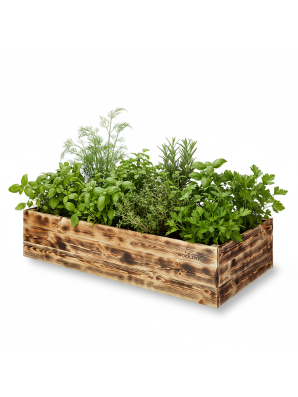 freepik do truhlku osad nkolik druhu bylinek v maximln vce 84541