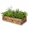 freepik do truhlku osad nkolik druhu bylinek v maximln vce 84541